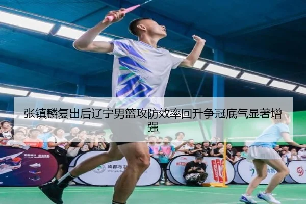 张镇麟复出后辽宁男篮攻防效率回升争冠底气显著增强